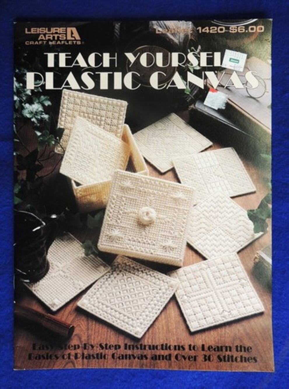 Teach Yourself Plastic Canvas Leisure Arts Leaflet 1420 by Cristel Shelton c1992
